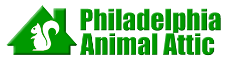 Philadelphia Animal Attic